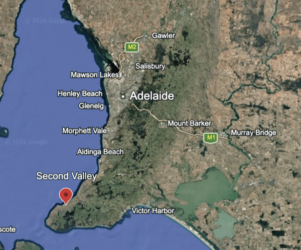 Screenshot 2026-03-14 at 1.28.32 PM